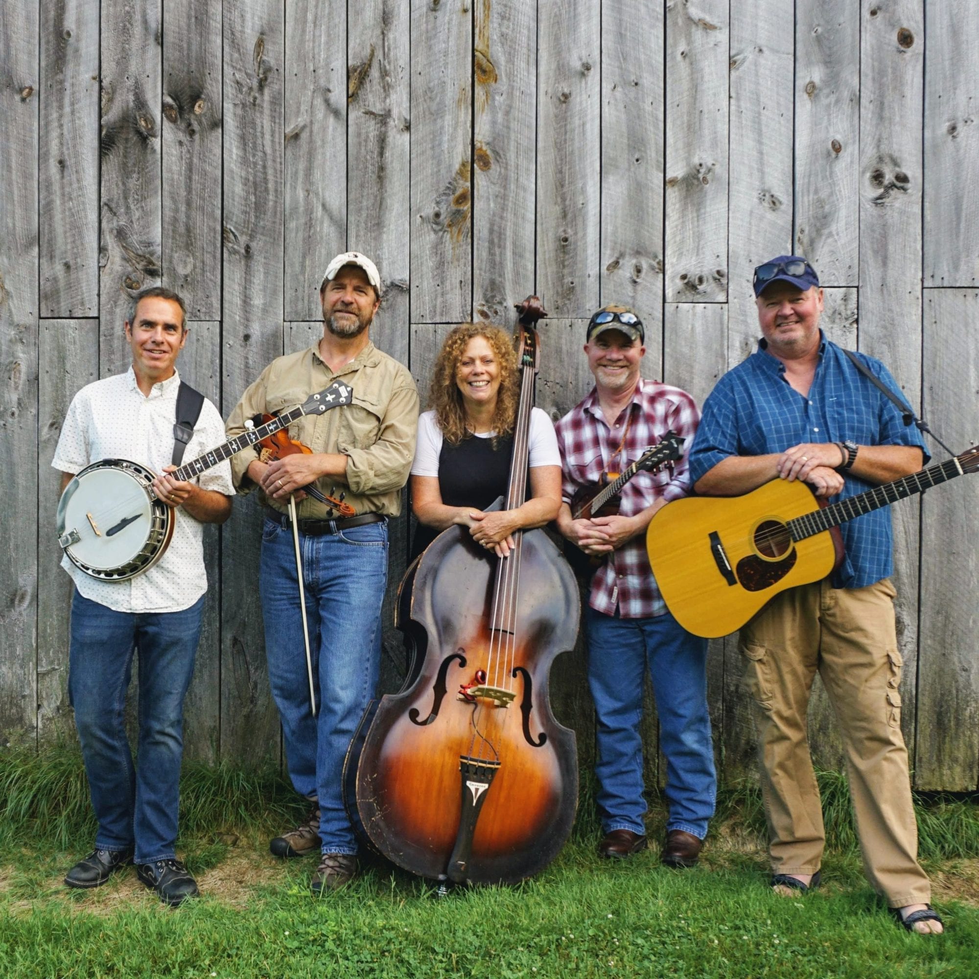 chickenshack bluegrass band, entertainment