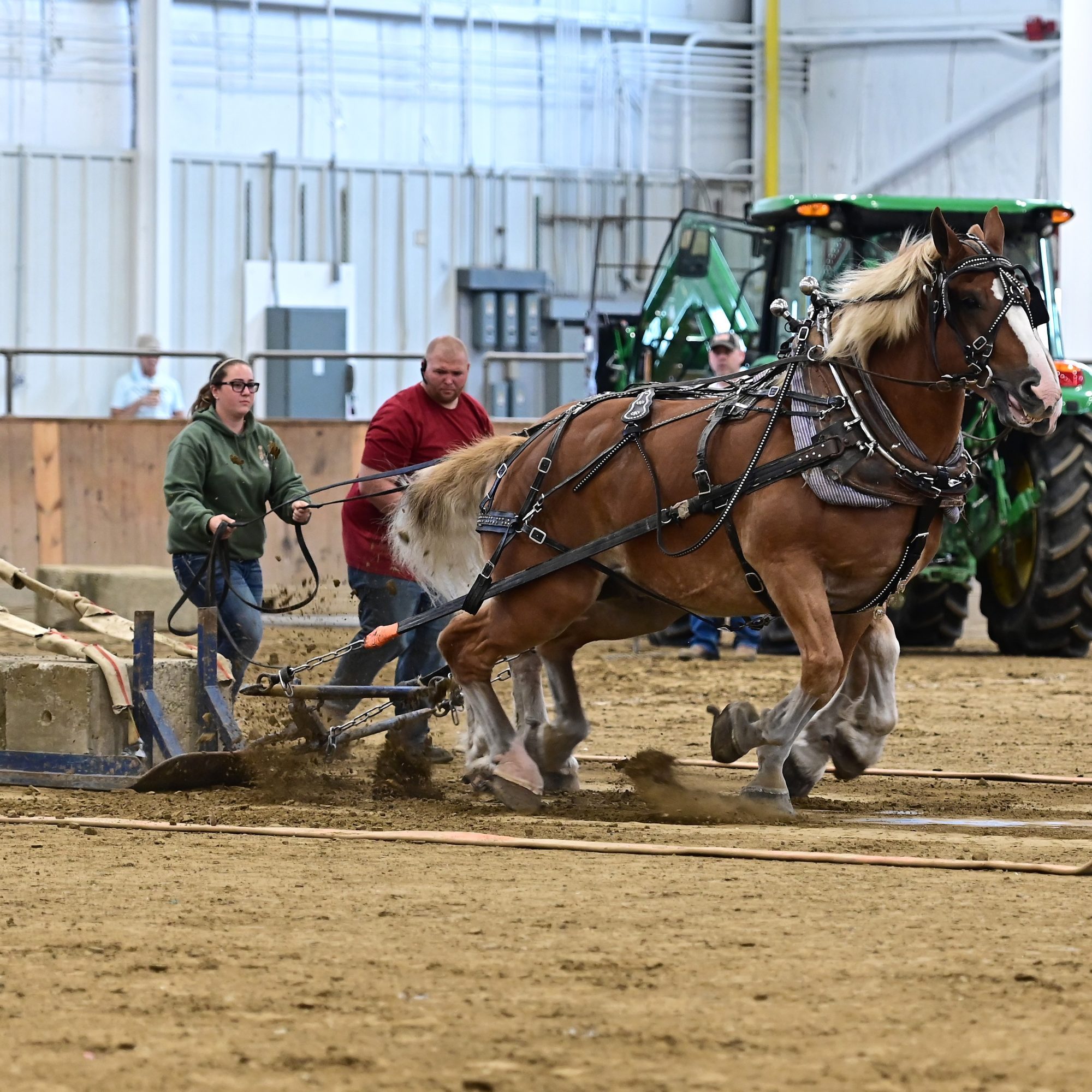 horse pulling contest, arena