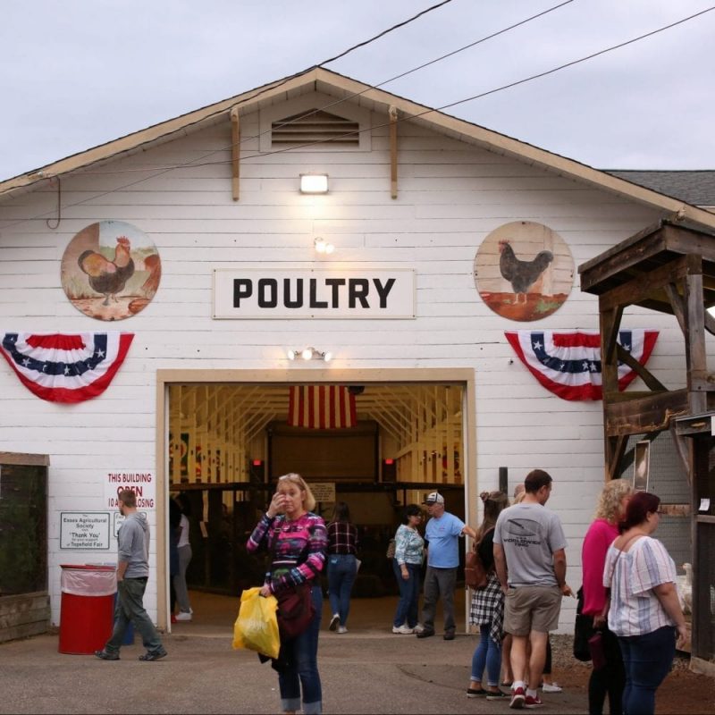 Poultry Barn, Poultry