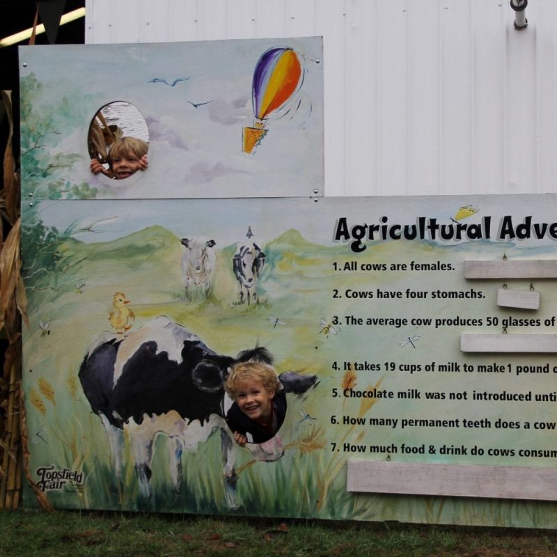 Agricultural Adventure, Educational Experiences, education